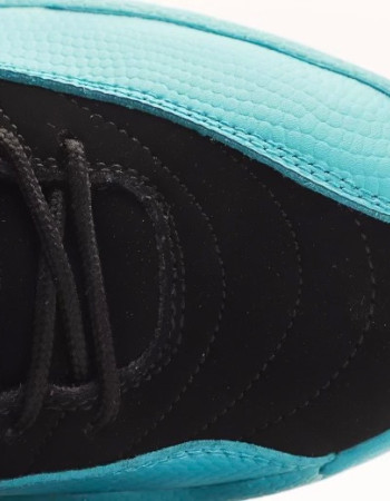 Air Jordan 12 “Gamma Blue”