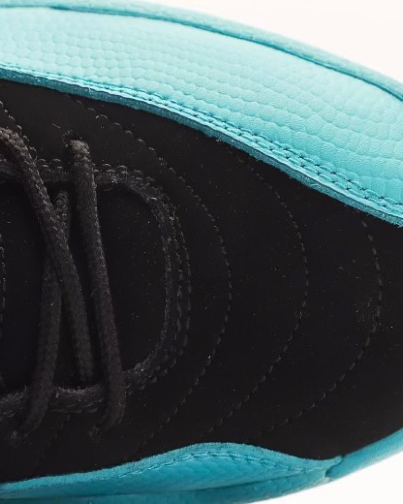 Air Jordan 12 “Gamma Blue”