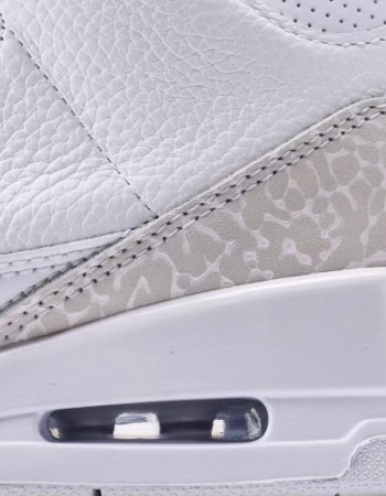 Air Jordan 3 Retro “Pure Money”