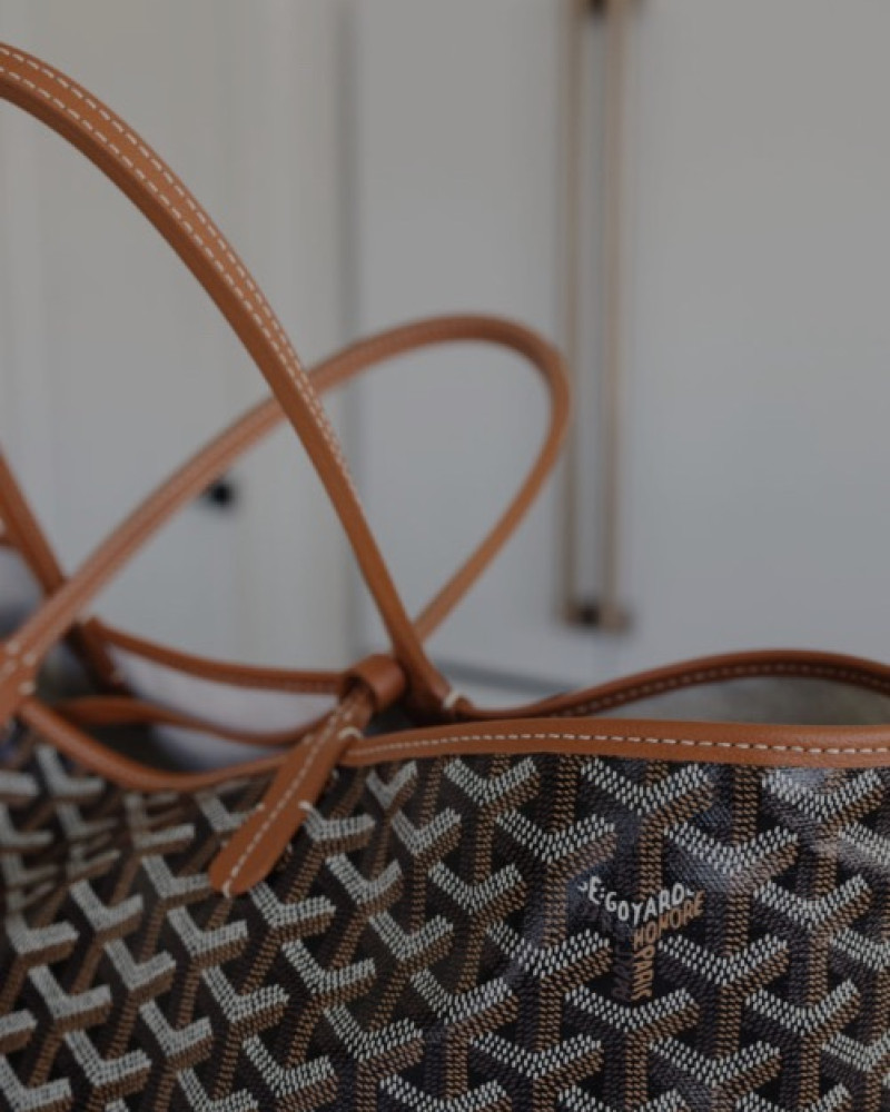 Goyard Belvédère Saint Louis PM Tote Bag