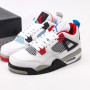 Air Jordan 4 "What The".