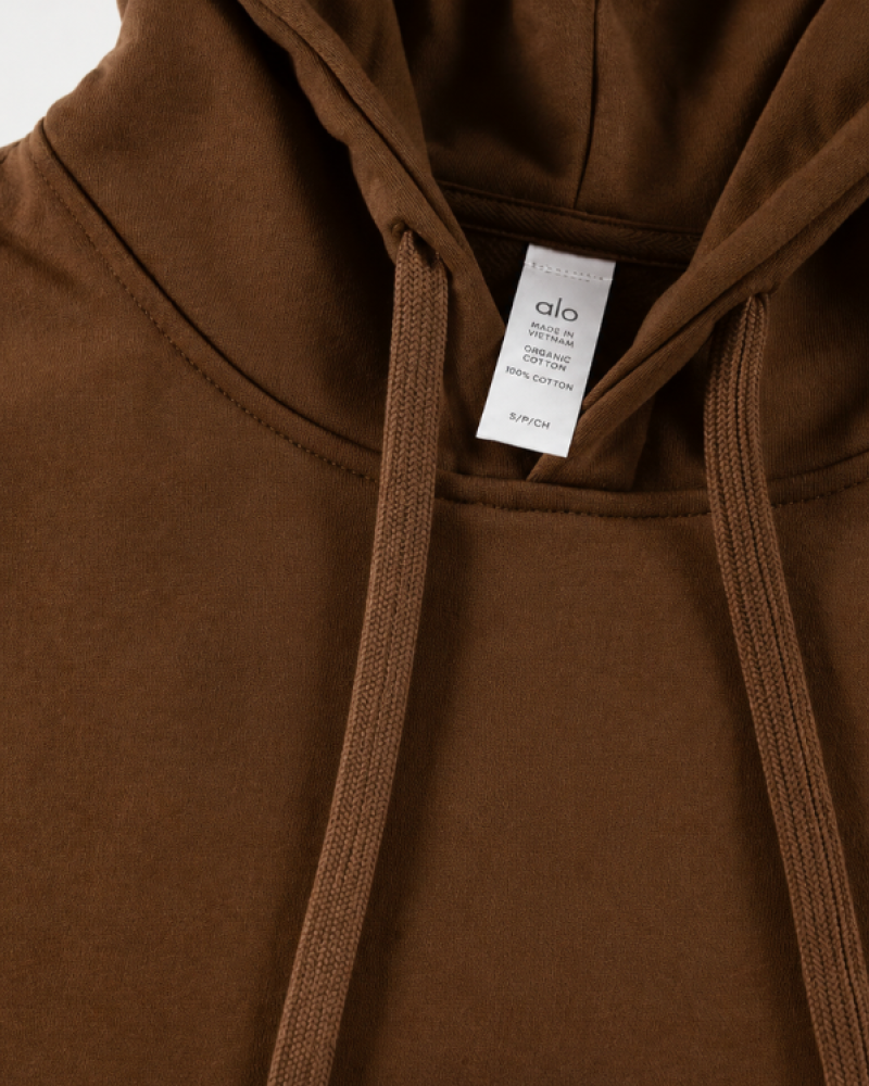 ALO Accolade Hoodie – Espresso