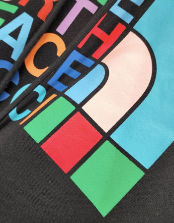 Gucci x The North Face Hoodie  