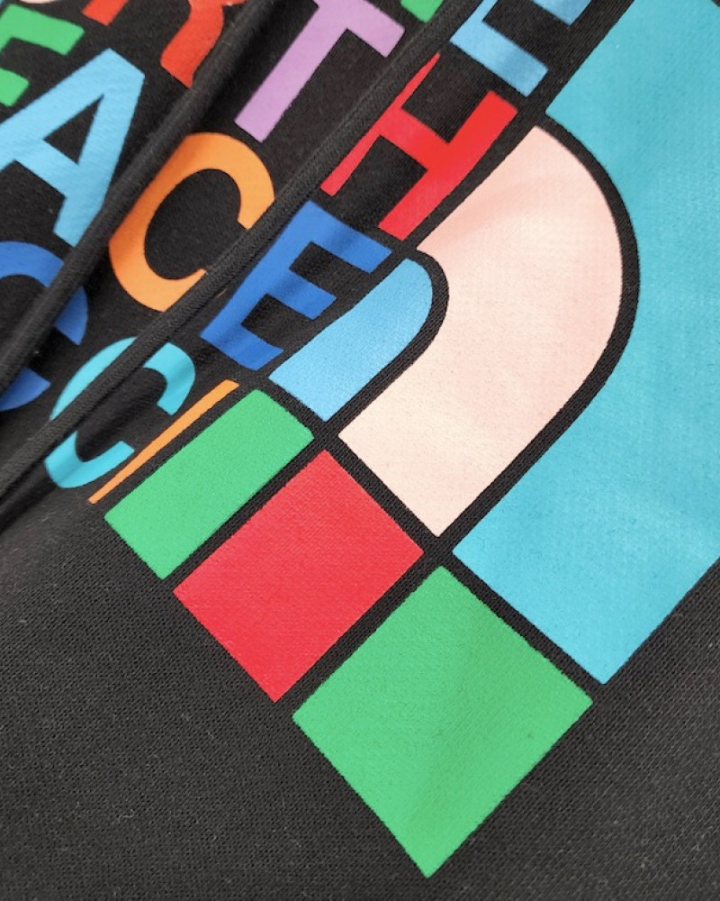 Gucci x The North Face Hoodie  