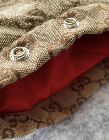 Gucci x The North Face Jacket 